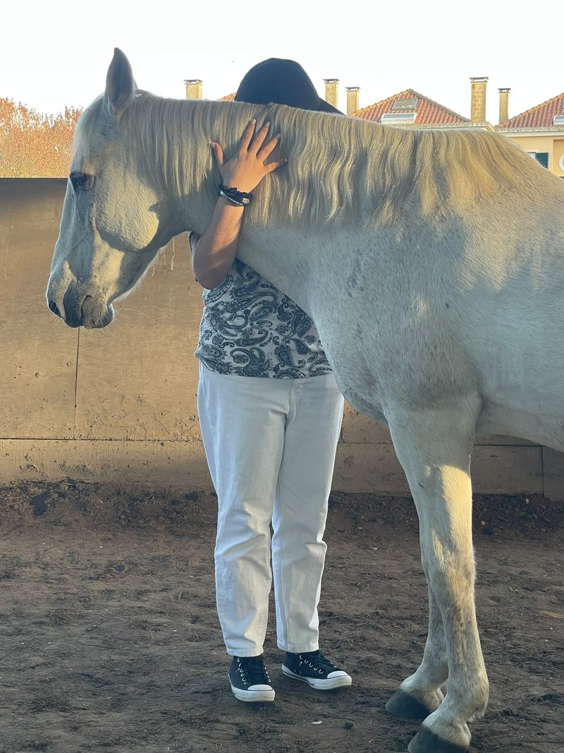 A hand resting on the neck of a pale horse