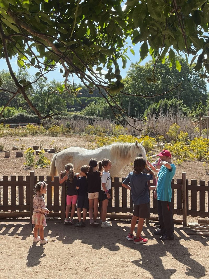 Families gathered along a fence watching horses